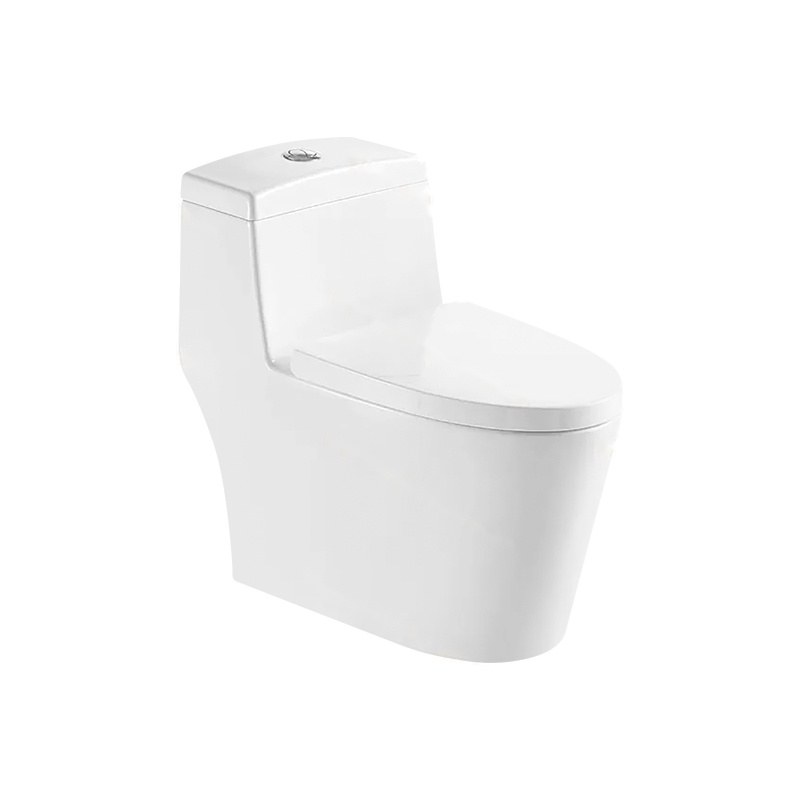 LT-1231 white one-piece-toilets