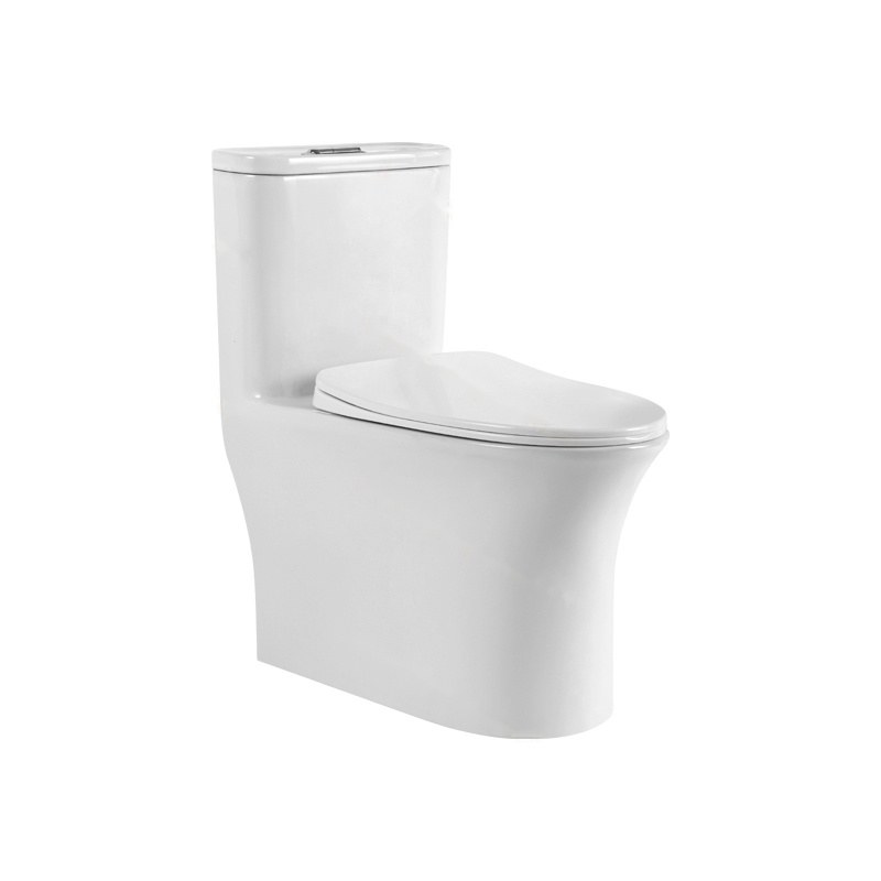 LT-1245 white one-piece-toilets