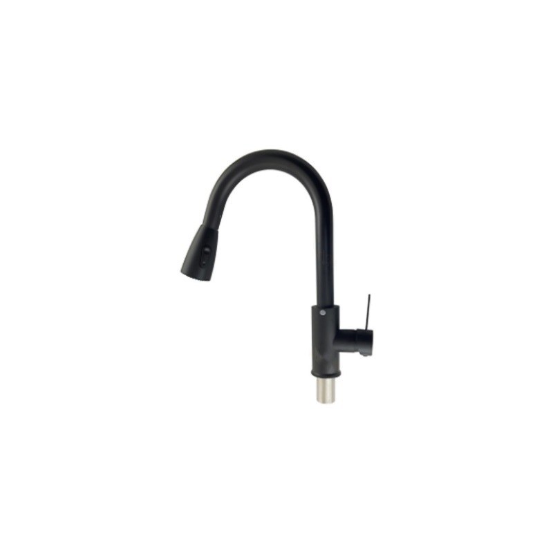 LT-10176-SS-TCCLSSCLRLT kitchen faucet, kitchen mixer tap, sink faucet