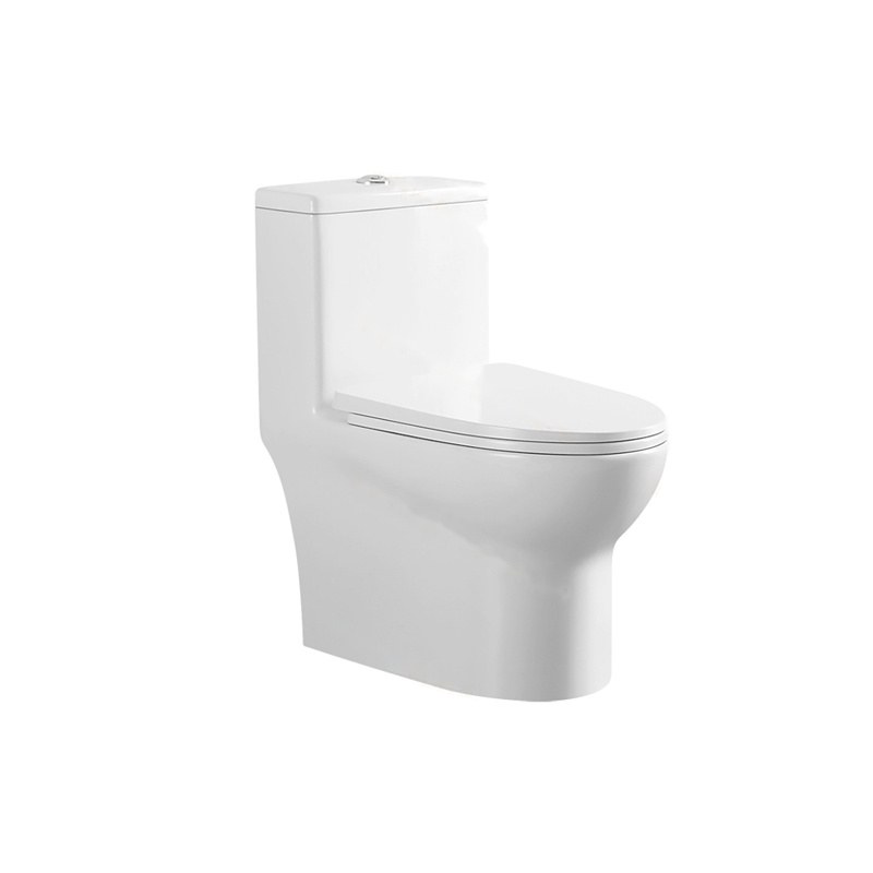 LT-1143 white one-piece-toilets