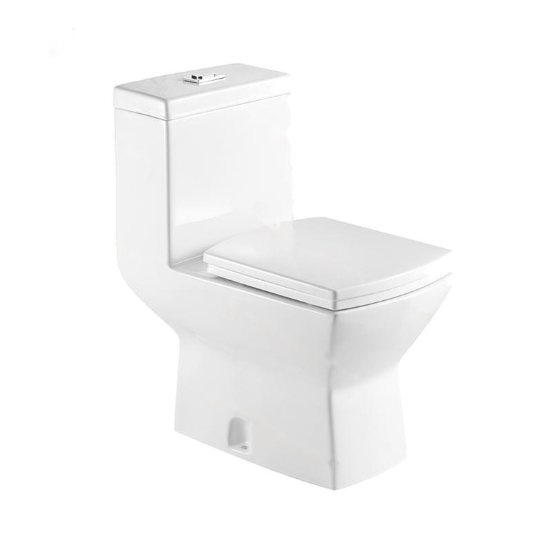 LT-1101 white one-piece-toilets