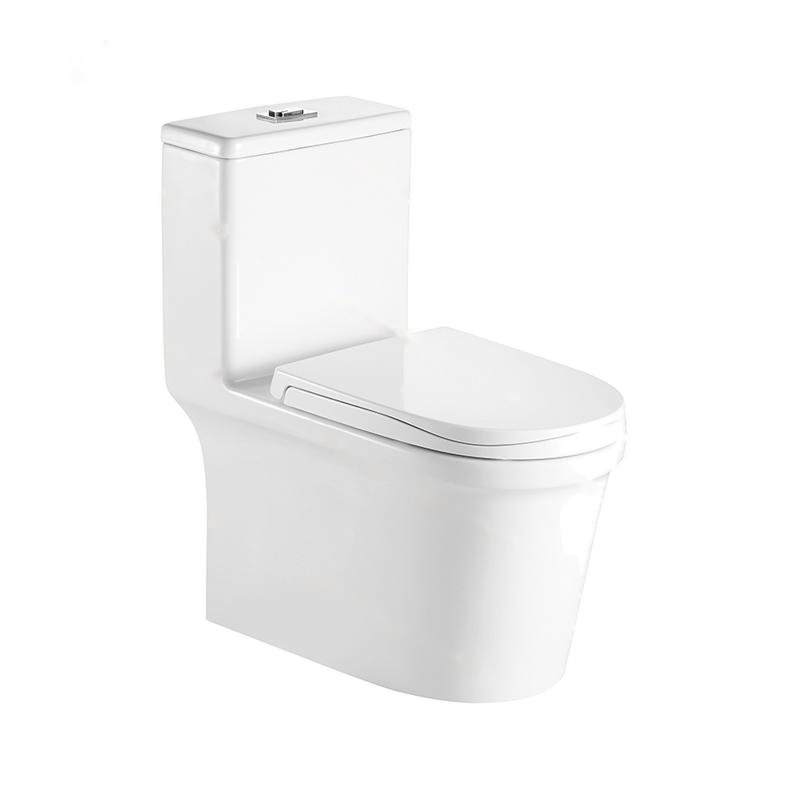 LT-1054 white one-piece-toilets