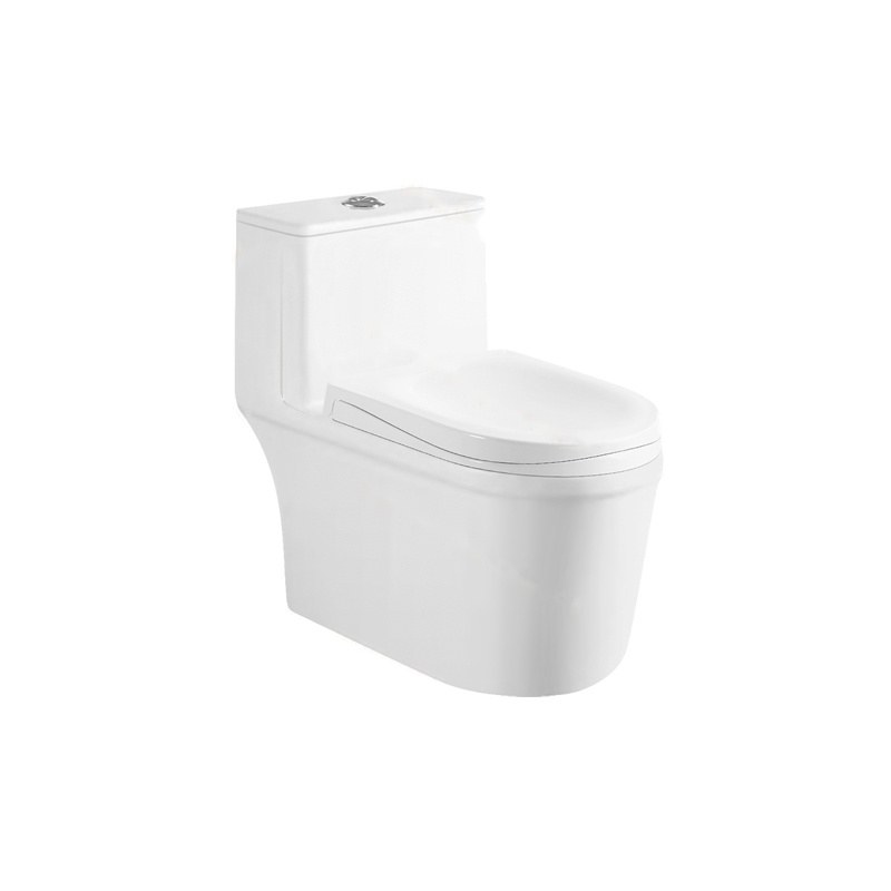 LT-1207 white one-piece-toilets