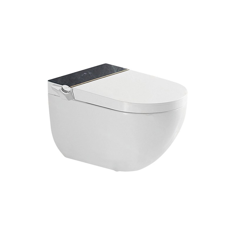 LT-TO-1059-B-WBL white smart-toilets