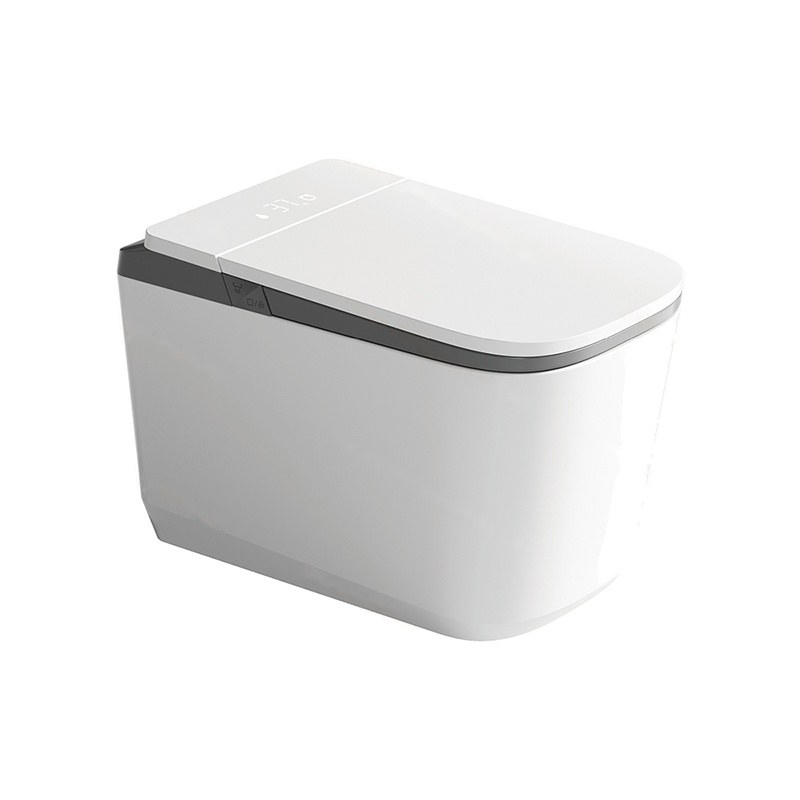 LT-TO-1135-WC-WG grey smart-toilets