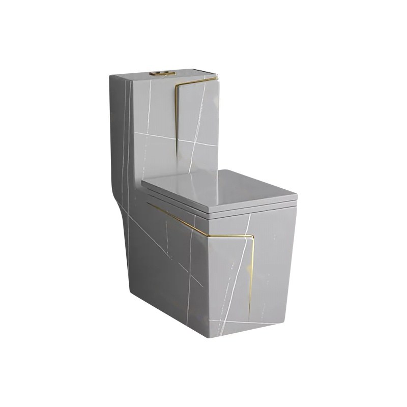 LT-1109-DP-DGGL grey one-piece-toilets