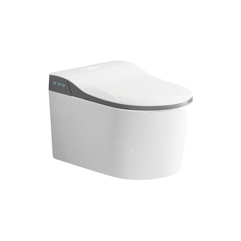 LT-TO-1072-WB-GR white smart-toilets