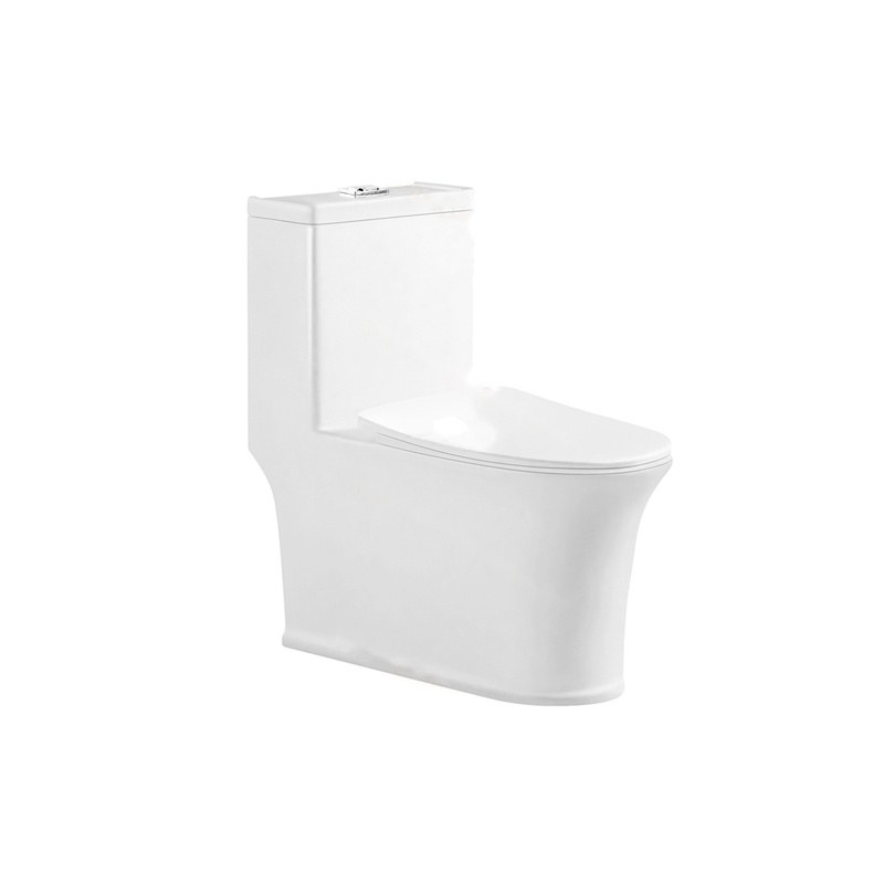 LT-1217 white one-piece-toilets