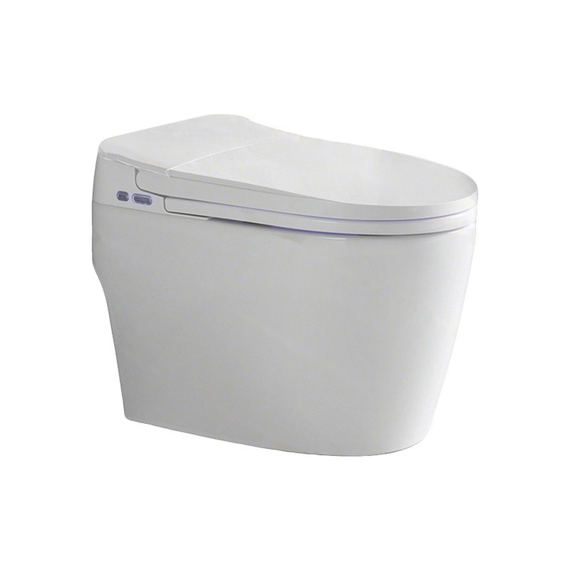 LT-TO-1131-C white smart-toilets