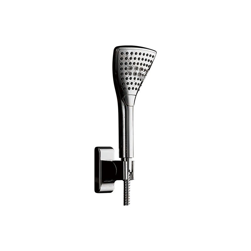 LT-10391-PLA-SP hand shower, hand held shower head