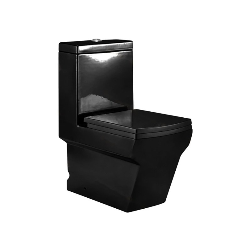 LT-1025-CG-BL black one-piece-toilets