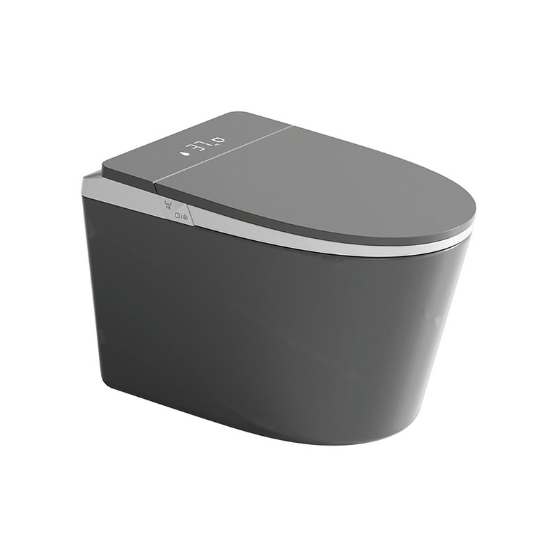 LT-TO-1137-WB-GW black smart-toilets