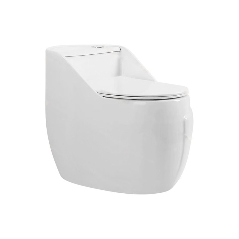 LT-1296 white one-piece-toilets