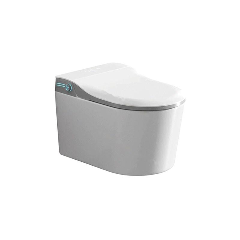 LT-TO-1073-WC-GR patterned smart-toilets