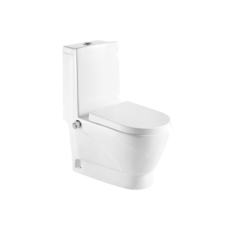 LT-1013-坐浴盆 white one-piece-toilets