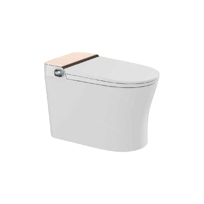 LT-TO-1025-WC-RG white smart-toilets