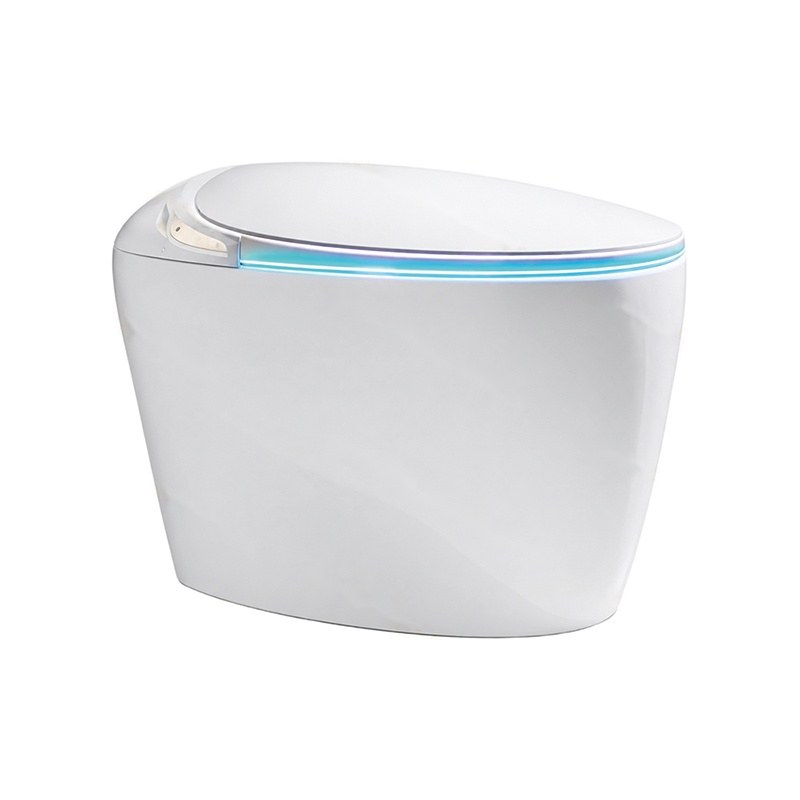 LT-TO-1139-WC white smart-toilets