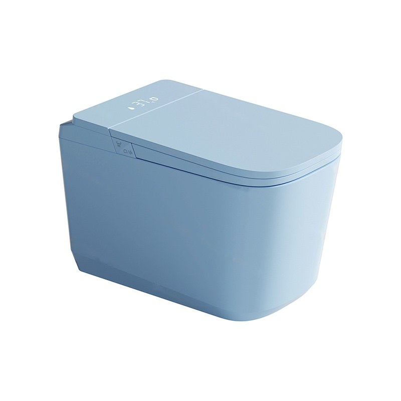 LT-TO-1135-WC-SKY patterned smart-toilets