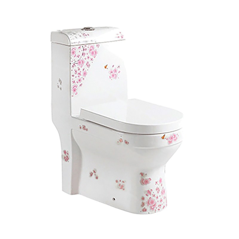 LT-1085-DC-WP white one-piece-toilets