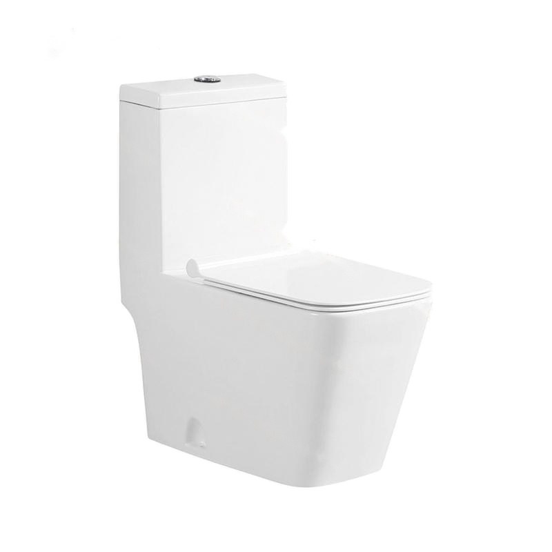 LT-1037 white one-piece-toilets