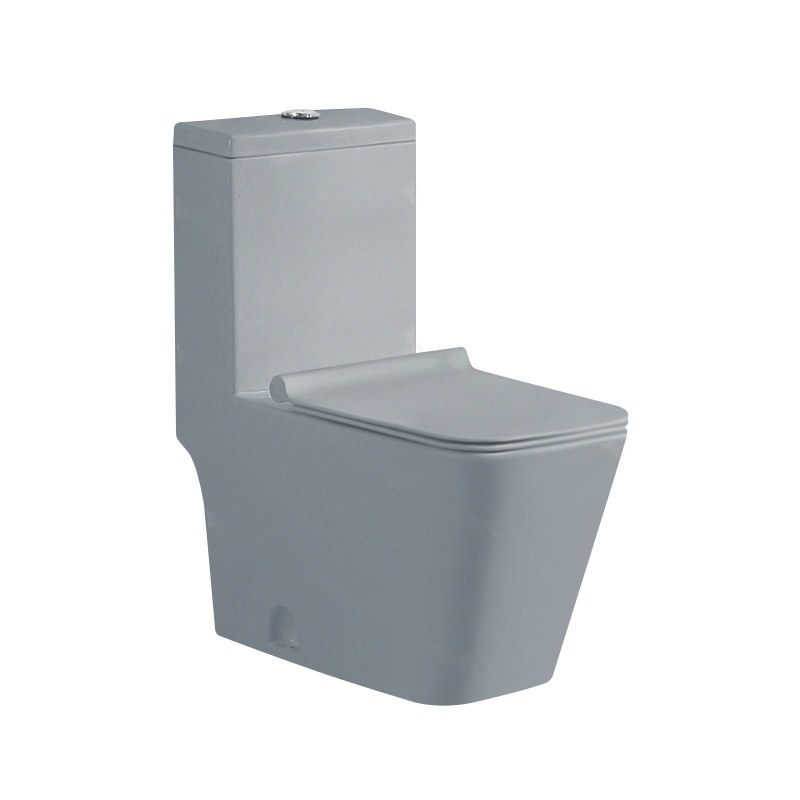 LT-1037-M-LG grey one-piece-toilets