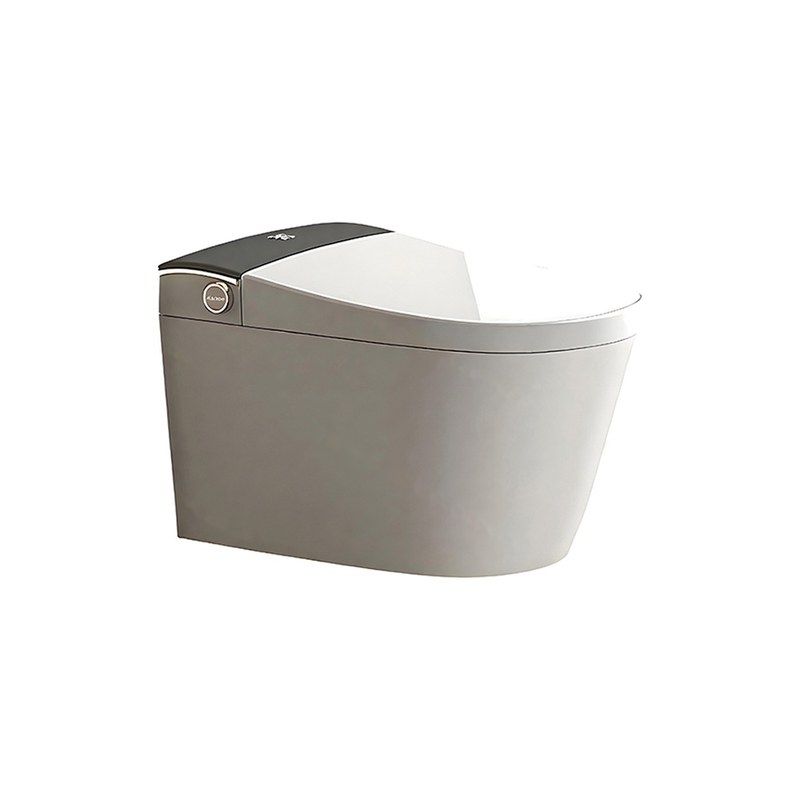 LT-TO-1111-WC patterned smart-toilets