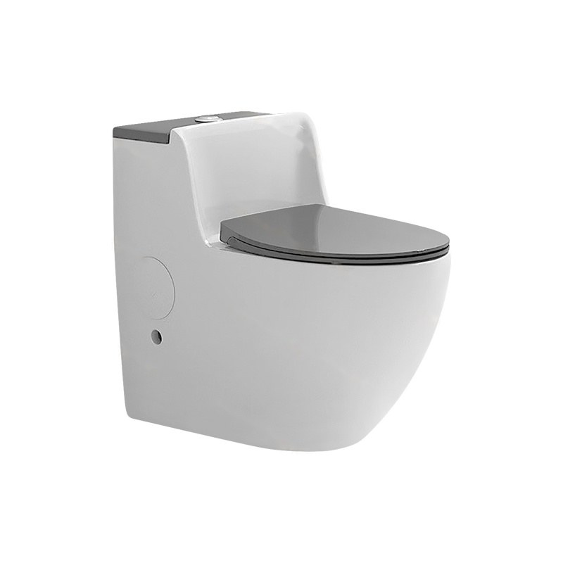 LT-1225-CG-WLG grey one-piece-toilets