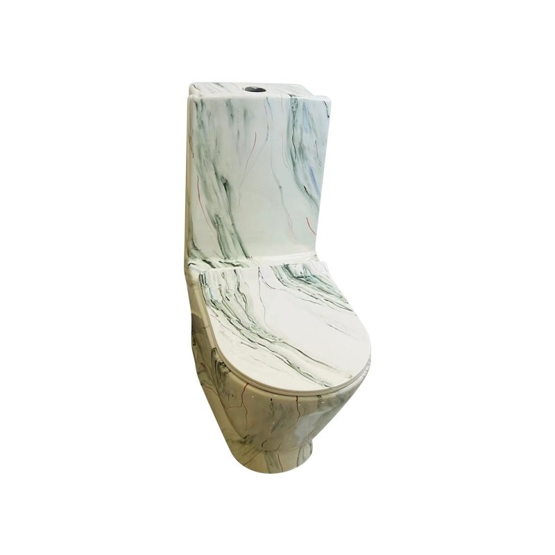 LT-1013-CS-CT18 patterned one-piece-toilets