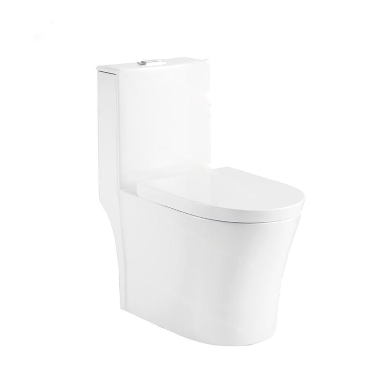 LT-1061 white one-piece-toilets