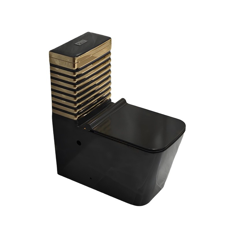 LT-1197-GID-GBL1 black one-piece-toilets