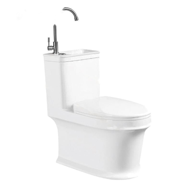 LT-1097 white one-piece-toilets
