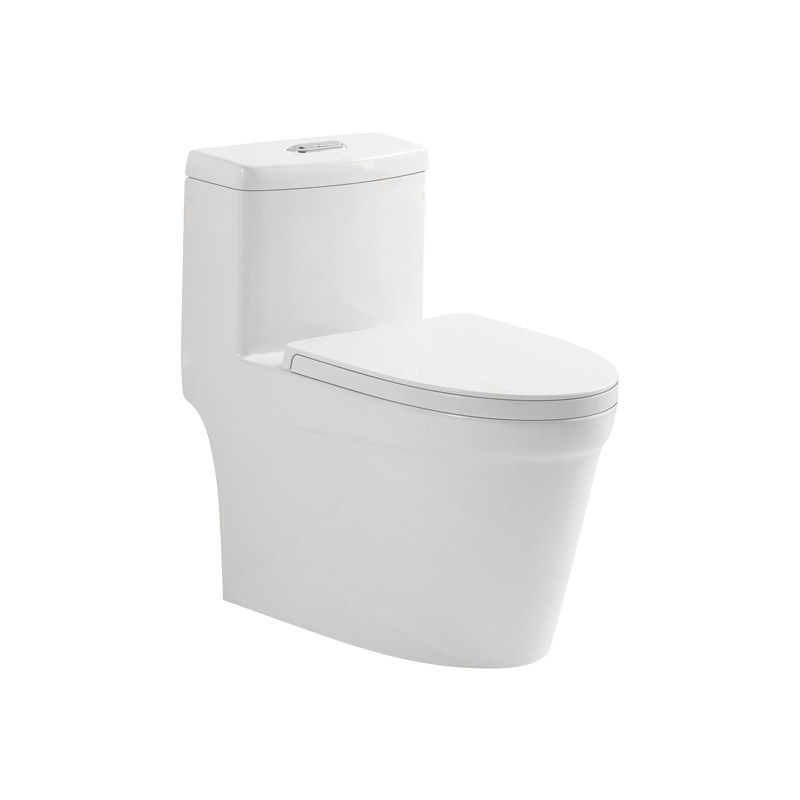 LT-1249 white one-piece-toilets