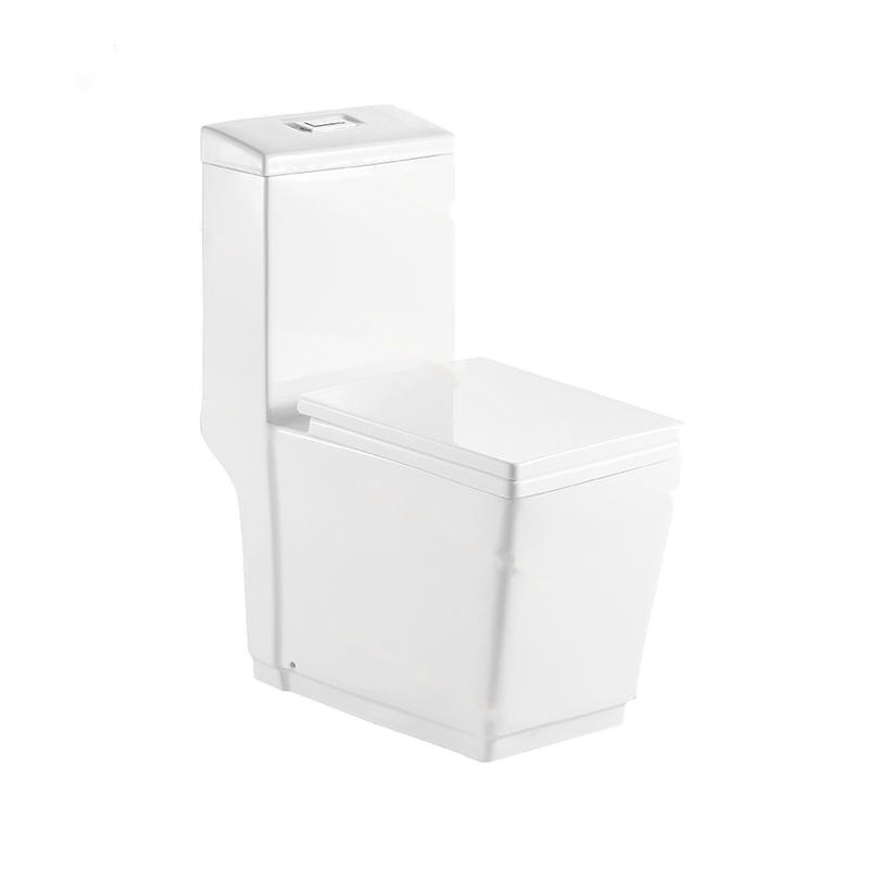 LT-1032 white one-piece-toilets