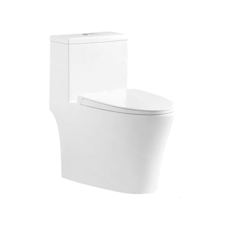 LT-1035 white one-piece-toilets