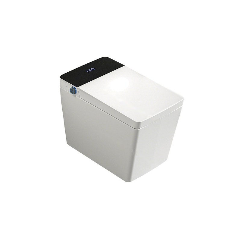 LT-TO-1047-C-WBL patterned smart-toilets