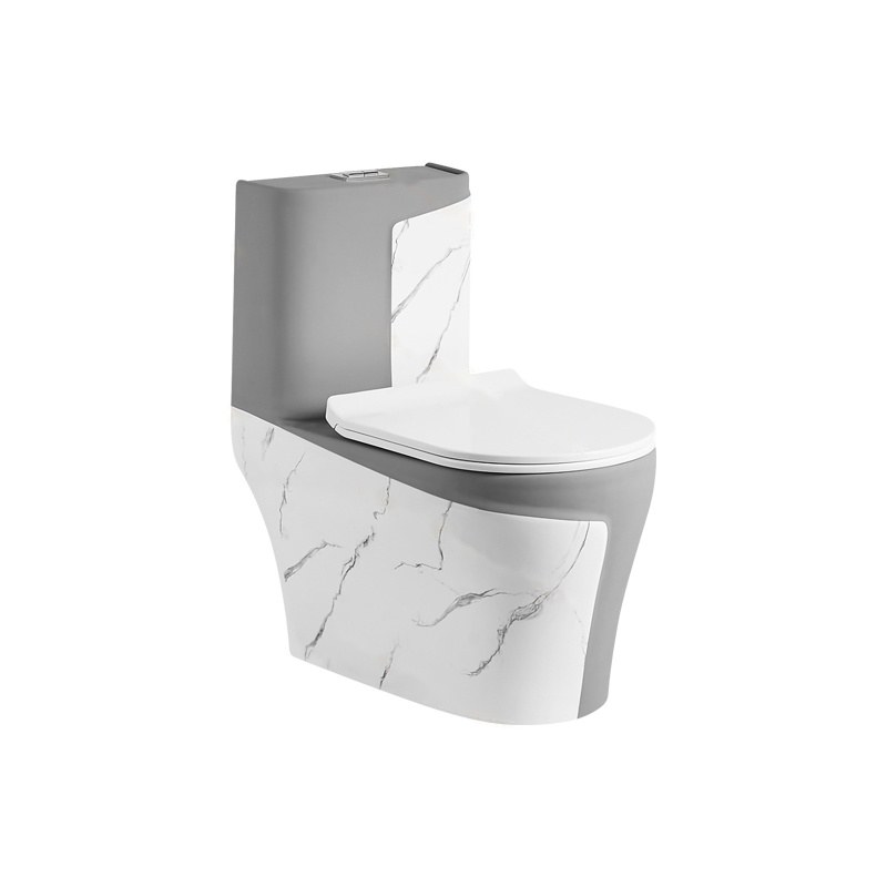LT-1121-DP-WDG white one-piece-toilets