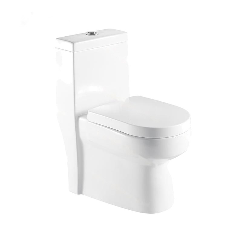 LT-1044 white one-piece-toilets