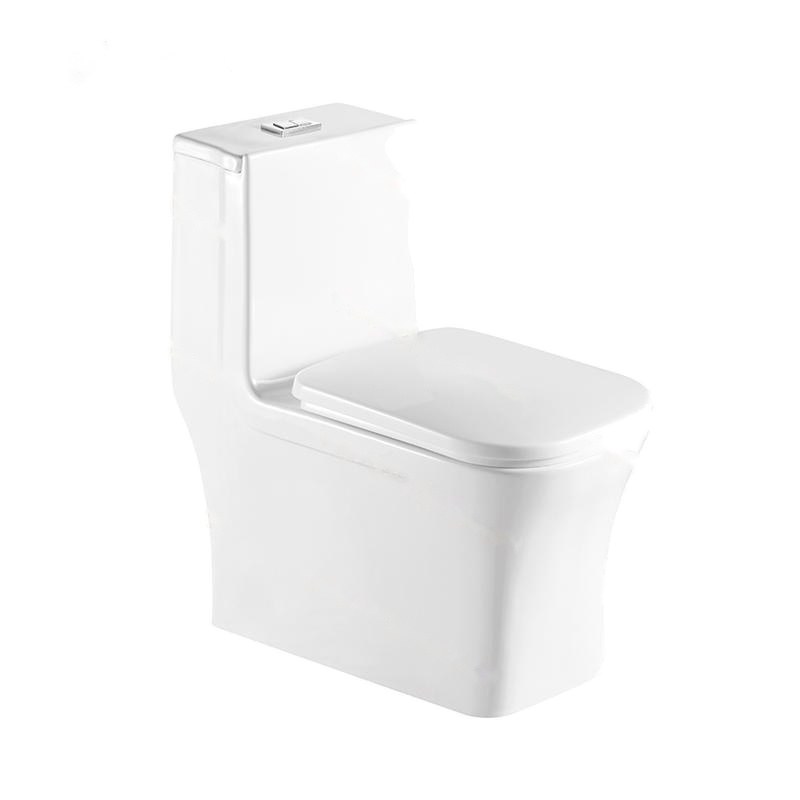 LT-1100 white one-piece-toilets