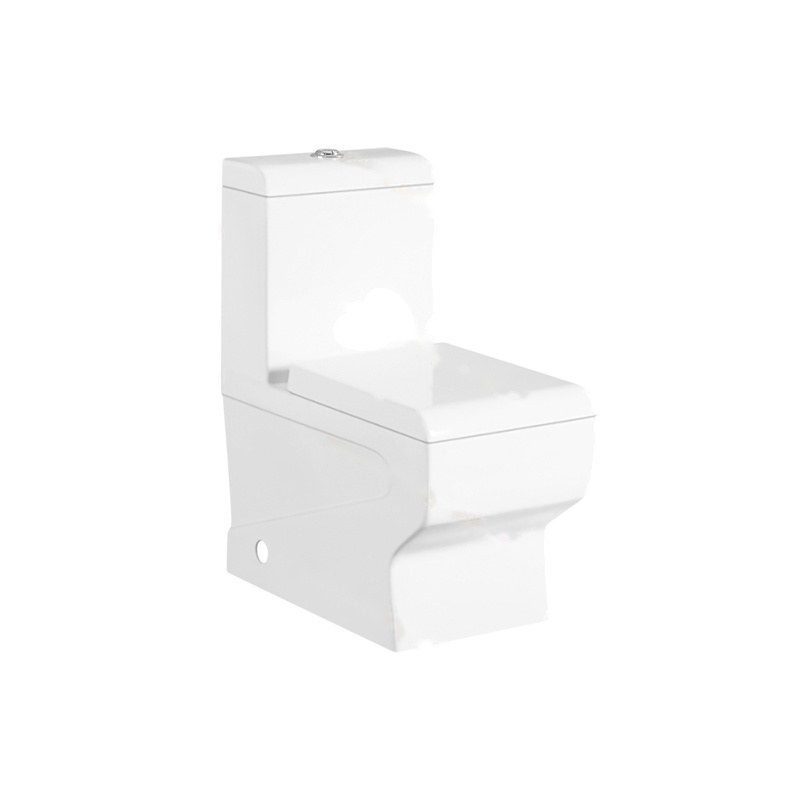 LT-1303 white one-piece-toilets