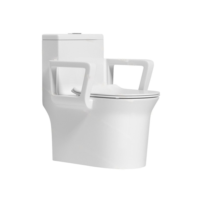 LT-1243 white one-piece-toilets