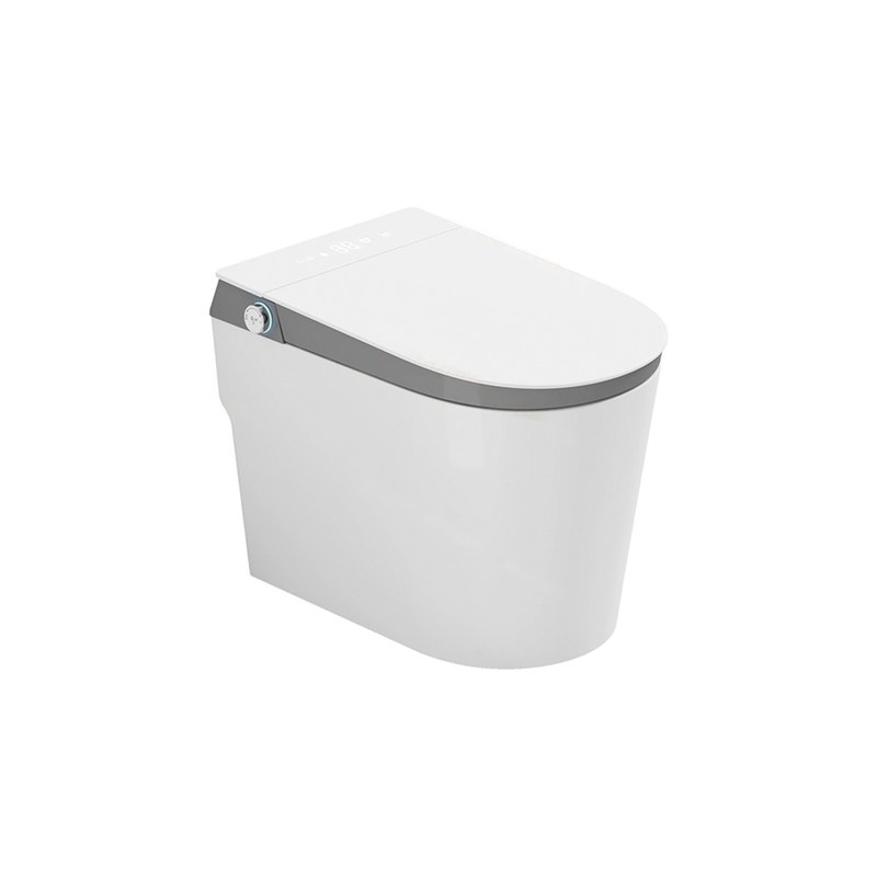 LT-TO-1031-WC-GR white smart-toilets