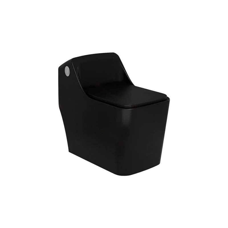 LT-1201-M-BL black one-piece-toilets