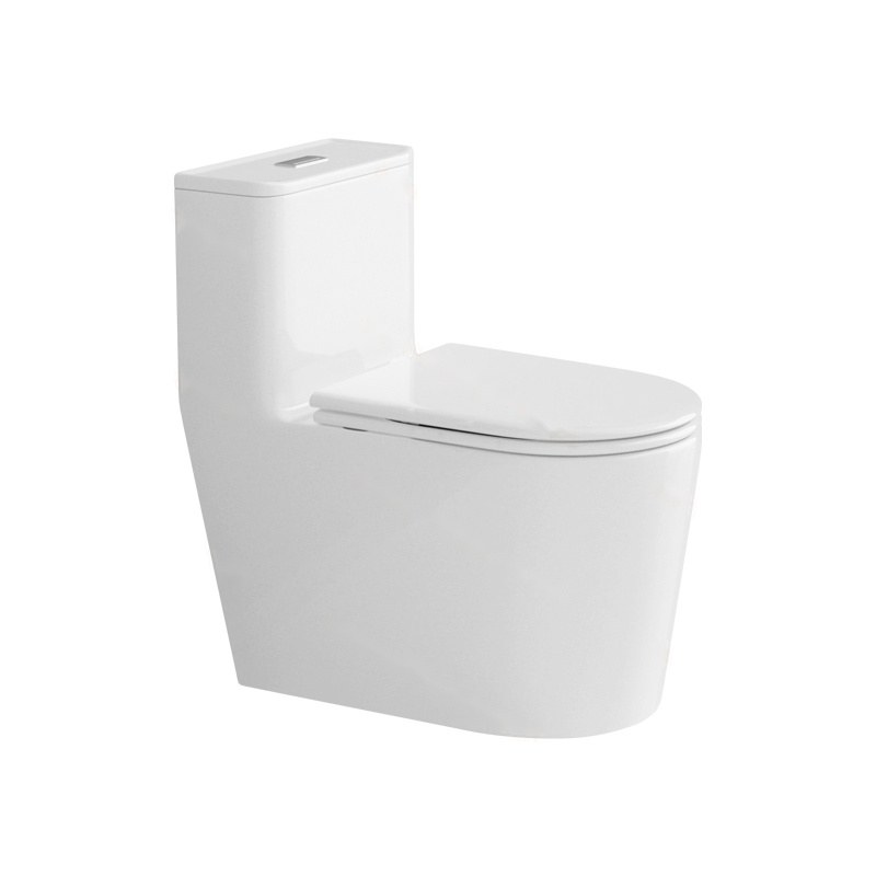 LT-1281 white one-piece-toilets