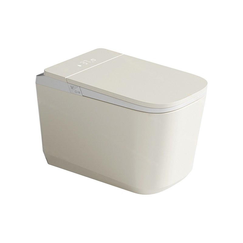 LT-TO-1135-WC-IVW grey smart-toilets