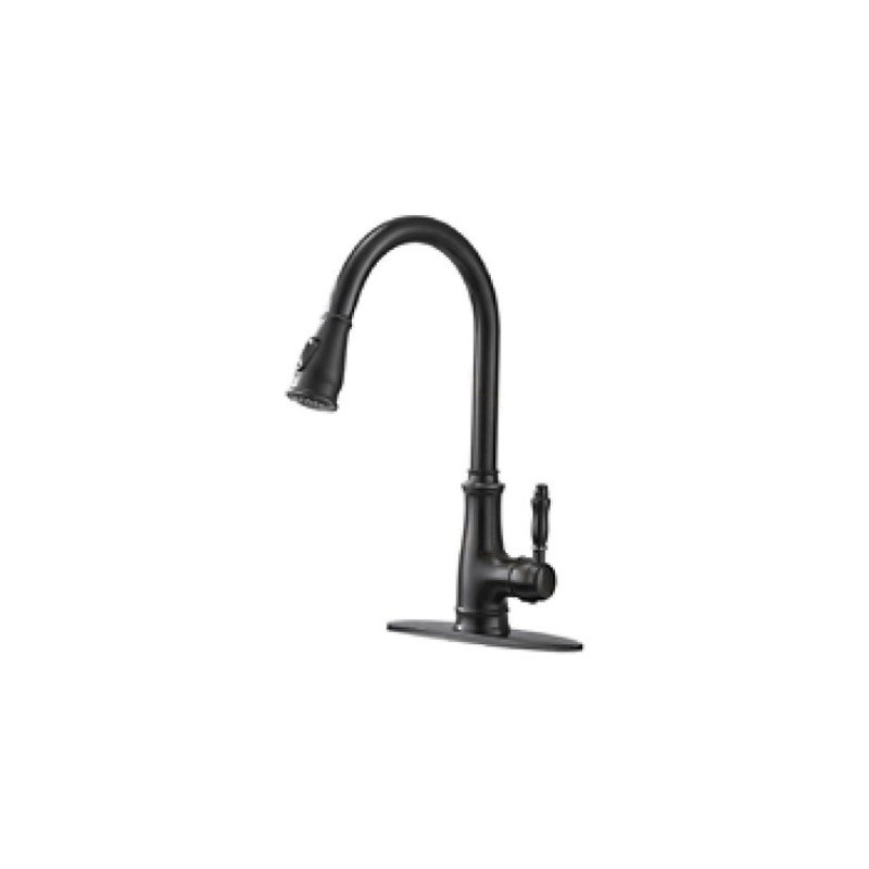 LT-10036-BRA-TCSCLRLT kitchen faucet, kitchen mixer tap, sink faucet