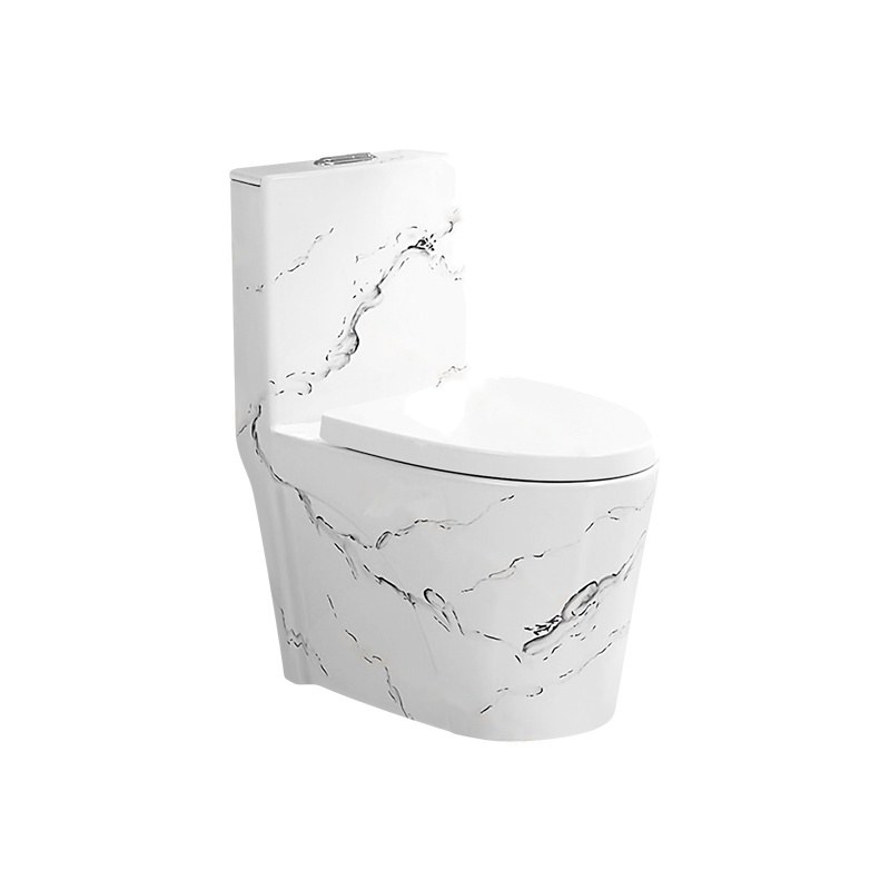LT-1086-DP-CT2 white one-piece-toilets