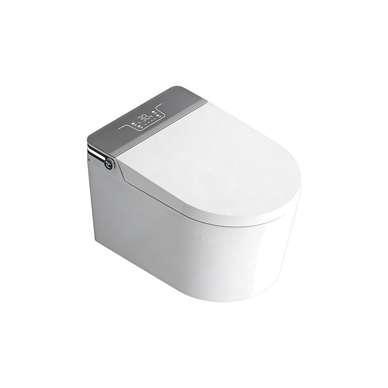 LT-TO-1075-WA-GR white smart-toilets
