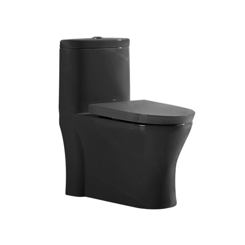 LT-1691-CG-N black one-piece-toilets