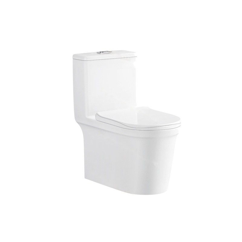 LT-1141 white one-piece-toilets