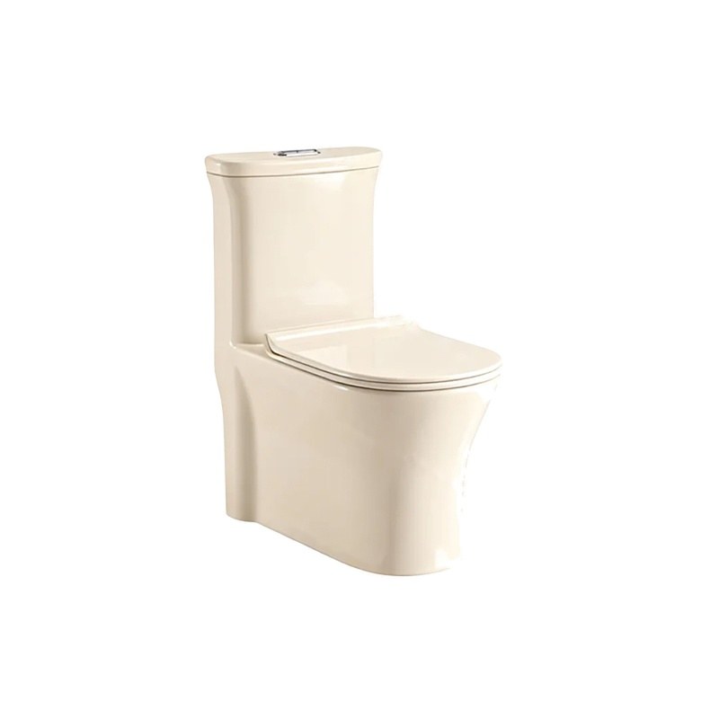 LT-1119-CG-IV white one-piece-toilets